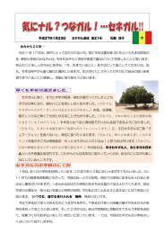 セネガルに来て、すでに半年が経過&hellip;初めの頃びっくりしたことも 今では