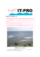 会社情報(PDF 11M) - ちゅらIT-PRO
