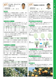 そらまめ・実えんどうの管理に ついて