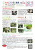 こもれびの森通信 2016年9月号