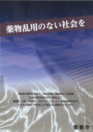 薬物乱用のない社会を（PDF）