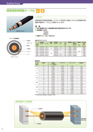 誘導加熱用同軸ケーブル PDF