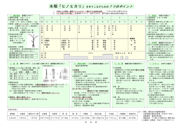 水稲「ヒノヒカリ」を作りこなすための7つのポイント
