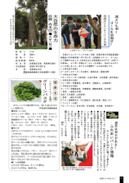 ダウンロード [233KB PDFファイル]