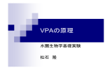 VPA解析