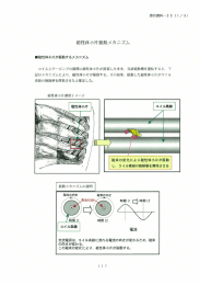 19(北電)泊発電所1号機 A-充てんポンプ電動機の故障に係る原因と対策