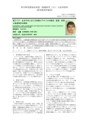 科学研究費助成事業（基盤研究（S））公表用資料 〔研究進捗評価用〕