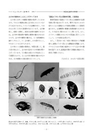 土の中の動物はこんなことをやってます 土の中には多く の種類の動物が