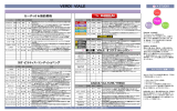 VIALE STUDIO PROGRAM プログラムの内容はこちら