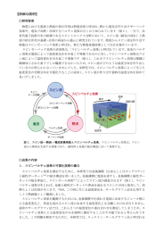 詳細な説明などリリース詳細