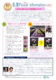 第23号 西尾市カーネーション展示予約会 椎名洋