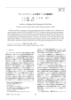 ウィンドファームの雷サージ伝搬解析