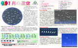 1月の星空情報はこちら