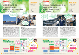 東芝 住宅用太陽光発電システム わが家のエコ宣言！ビフォー＆アフター