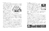 4～6ページ (PDFファイル 2198KB