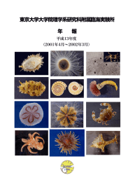 平成13年度 - 東京大学三崎臨海実験所