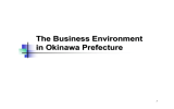 The Business Environment in Okinawa Prefecture