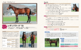 レディバラード`15 - ロードサラブレッドオーナーズ～Lord Thoroughbred