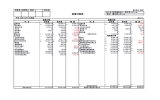 香月老人ホーム：貸借対照表及び収支計算書（PDF形式:594KB）