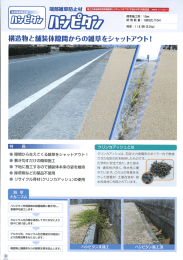 てくる雑草を