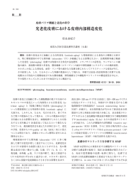 光老化皮膚における皮膚内部構造変化