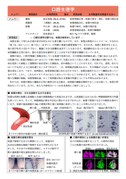 口腔生理学