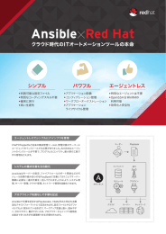 ダウンロード（約0.44MB） - RED HAT OPENEYE