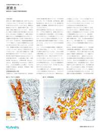 泥炭土