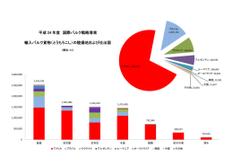 平成 24 年度 国際バルク戦略港湾 輸入バルク貨物（とうもろこし）の陸揚