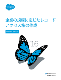 企業の規模に応じたレコード アクセス権の作成