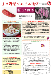 JA野菜ソムリエ通信 11月号（さつまいも・かき）