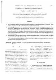 イチゴ萎黄病に対する拮抗微生物の選抜とその防除効果