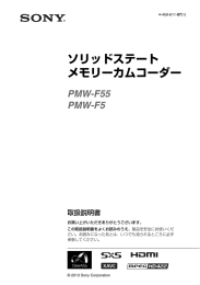 ソリッドステート メモリーカムコーダー