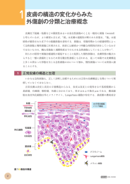 1皮膚の構造の変化からみた 外傷創の分類と治療概念