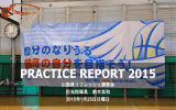 PRACTICE REPORT 2015