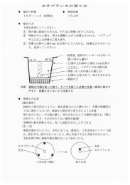 カサブランカの育て方（PDF：1264KB）