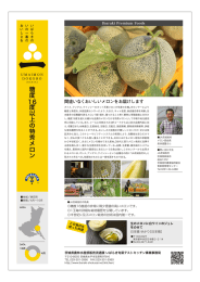 糖 度 16 度 以 上 の 特 秀 メ ロ ン