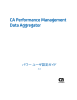 PDF のダウンロード - CA Technologies
