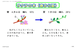 ※ 教科 理科テキスト 小4 3学期 1月