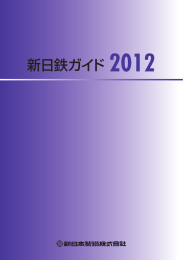 新日鉄ガイド 2012