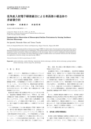 低角度入射電子顕微鏡法による表面微小構造体の 非破壊分析 - J