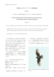 利尻島におけるハチクマの観察記録