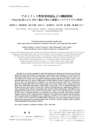 アポミクシス性特異的遺伝子の機能解析