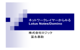 Lotus Notes/Domino
