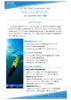 SEA EXPLORER Underwater Glider マルチミッション  中グライダー (仏