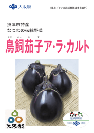 『摂津市特産 なにわの伝統野菜 鳥飼茄子ア・ラ・カルト』 [PDF