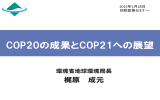 厳しい温暖化対策を とらなかった場合 - EU