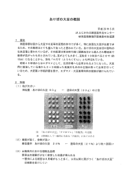 あけぼの大豆の播種