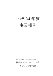 平成 24 年度 事業報告