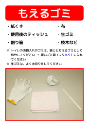 ・紙くず ・布 ・使用後のティッシュ ・生ゴミ ・割り箸 ・枝木など